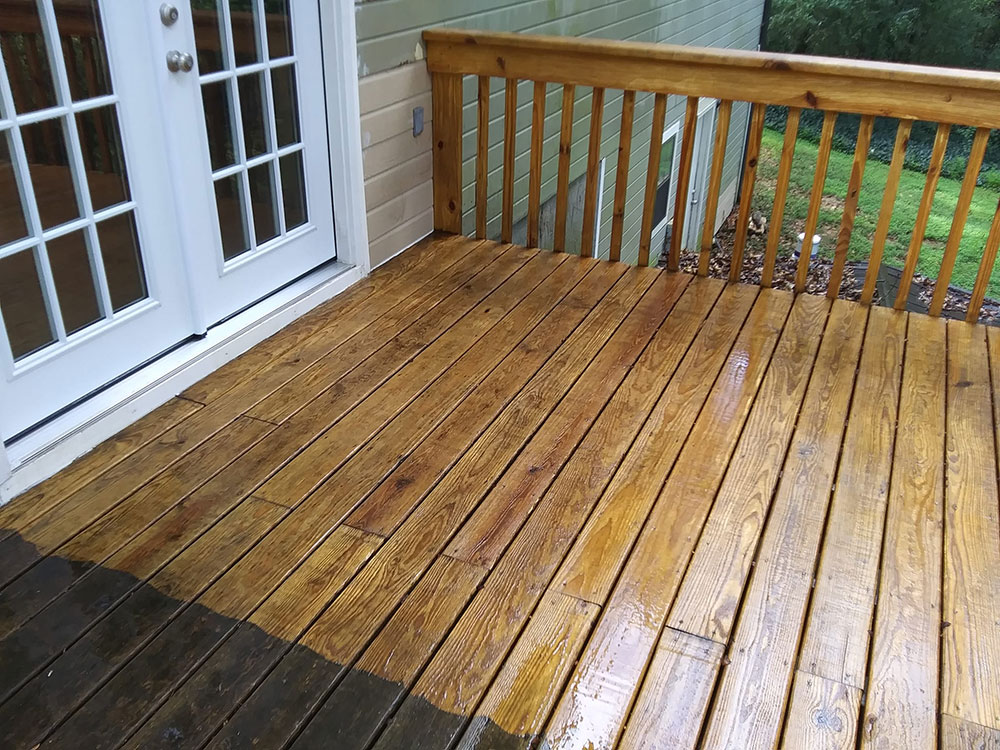 images/gallery/12.jpg#joomlaImage://local-images/gallery/12.jpg?width=1000&height=750